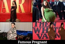 Famous Pregnant